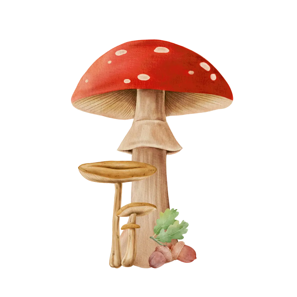 a watercolor image of a mushroom