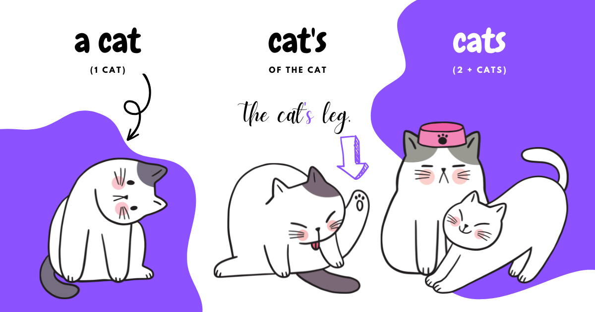 a cat, cat's, and cats - 3 cats used to illustrate the usage of the apostrophe in English
